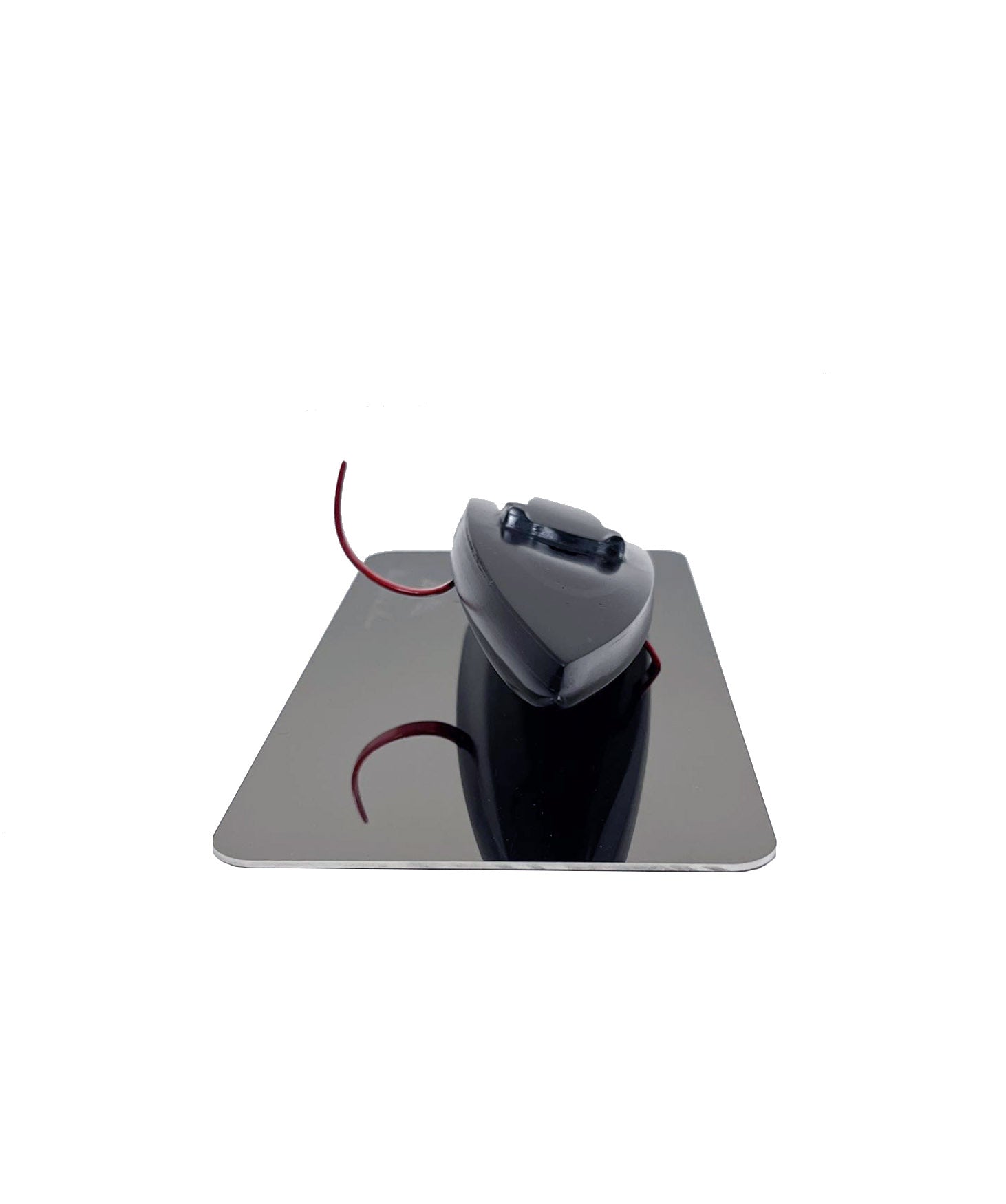 Maquette MALIZIA